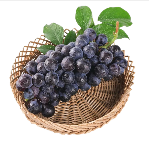 Traubenfruchtpulver
