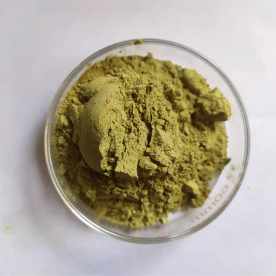 Eucommia Ulmoides-Extrakt Chlorogensäure 5 % 10 % 20 % HPLC